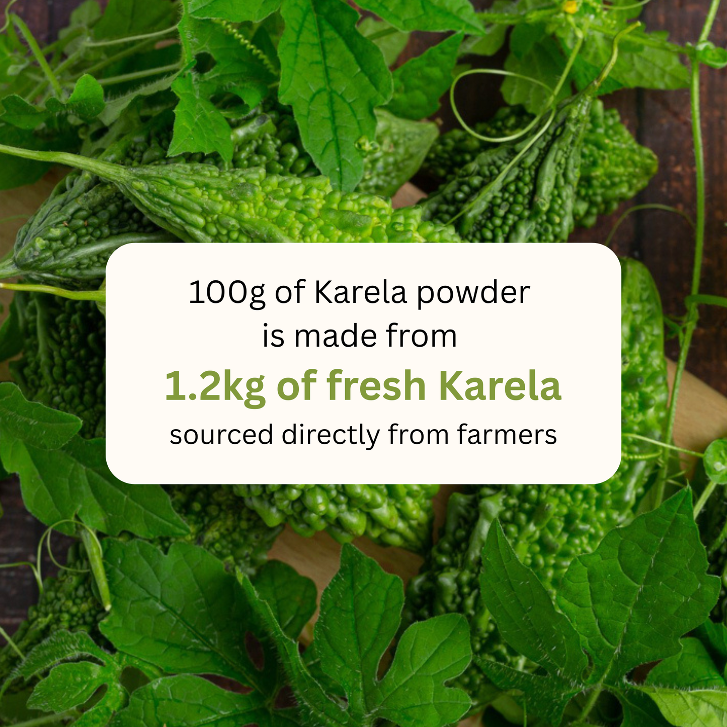 koh! Karela Powder | 100g