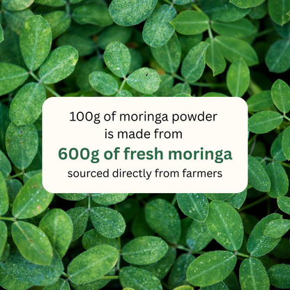 koh! Moringa Powder | 100g