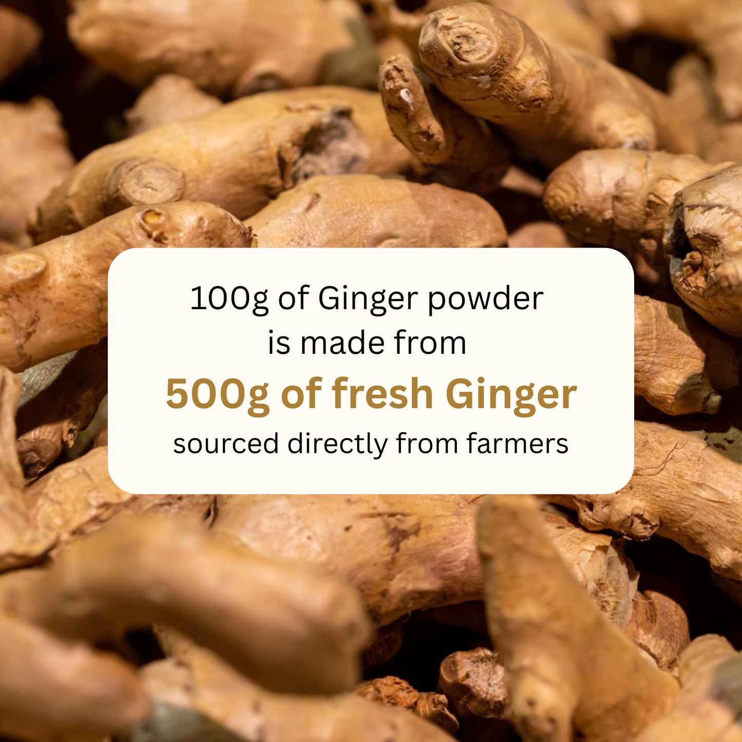 koh! Ginger Powder | 100g