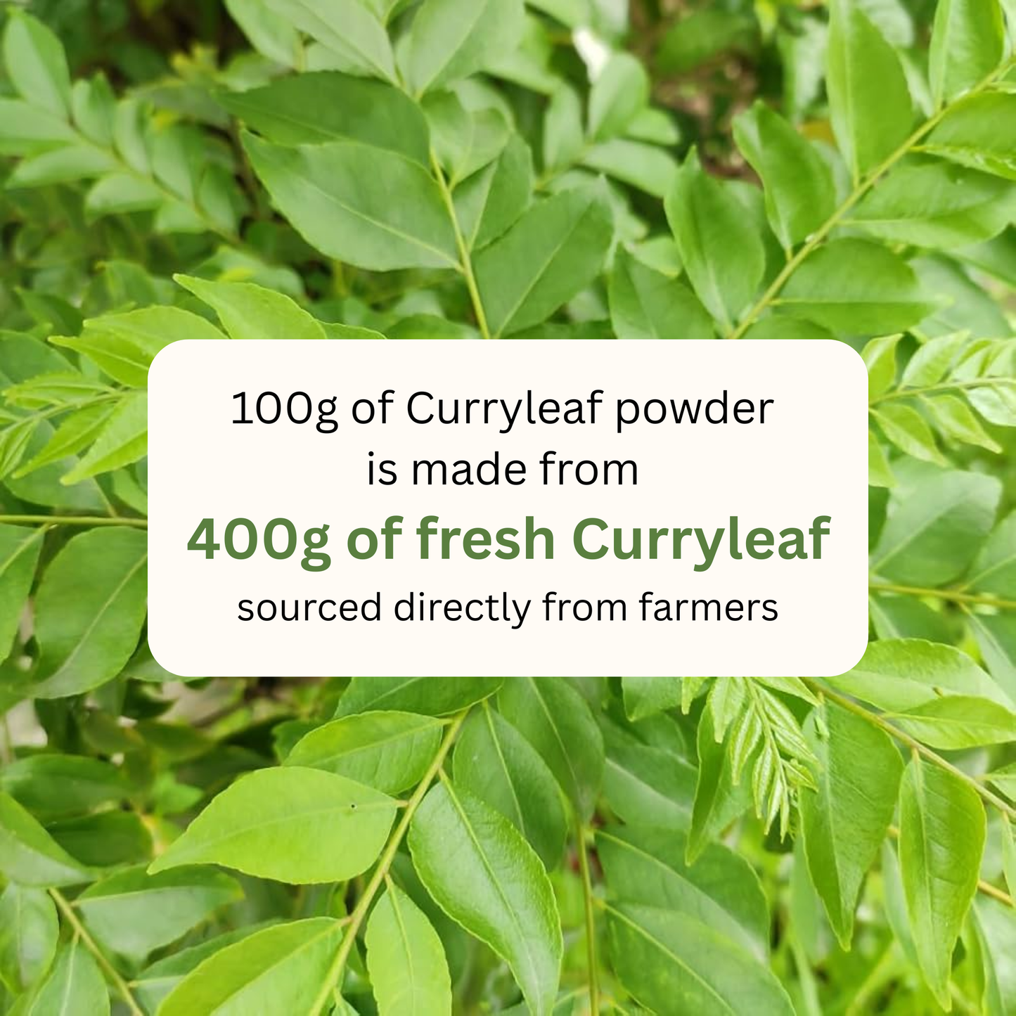 koh! Curry Leaf Powder | 100g