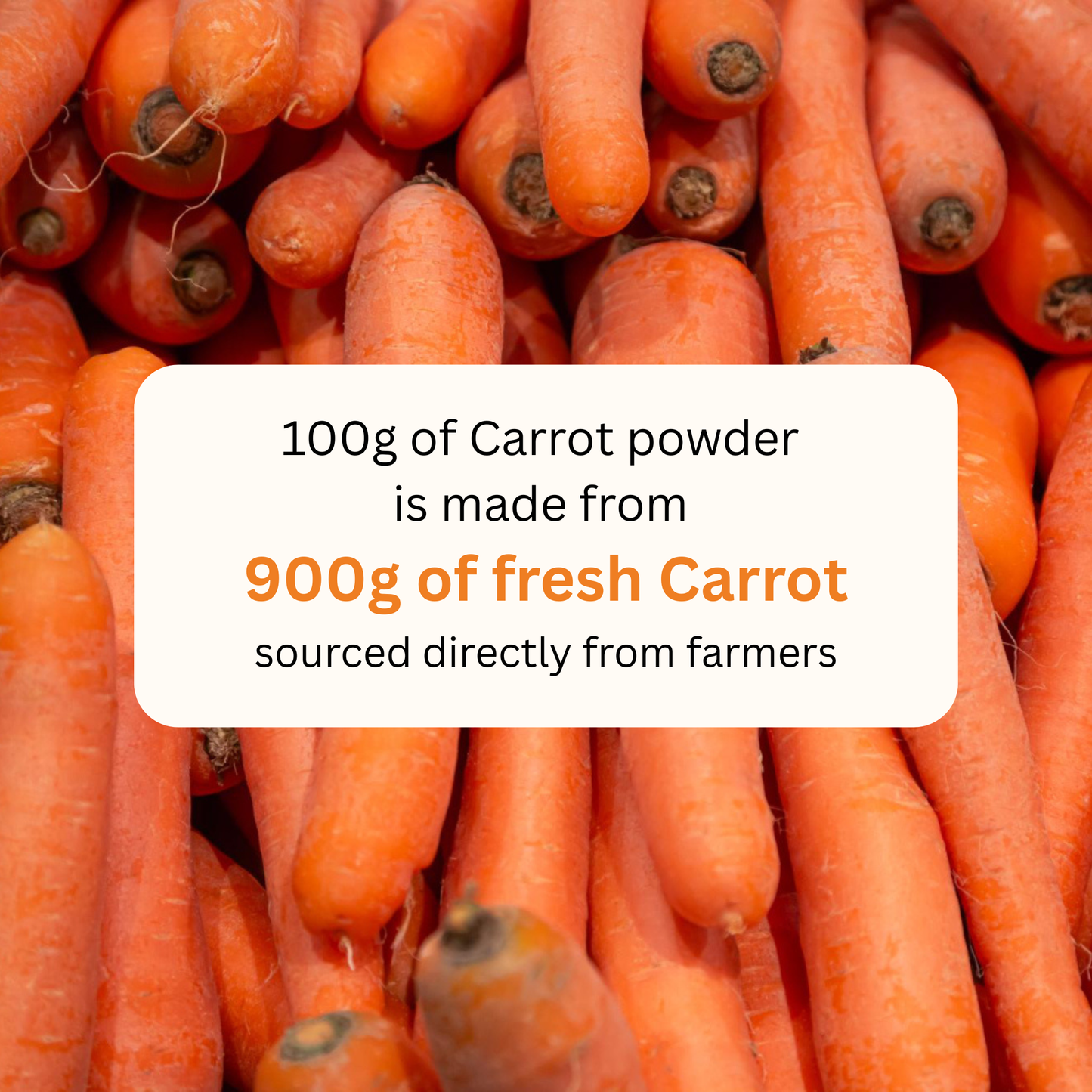 koh! Carrot Powder | 100g