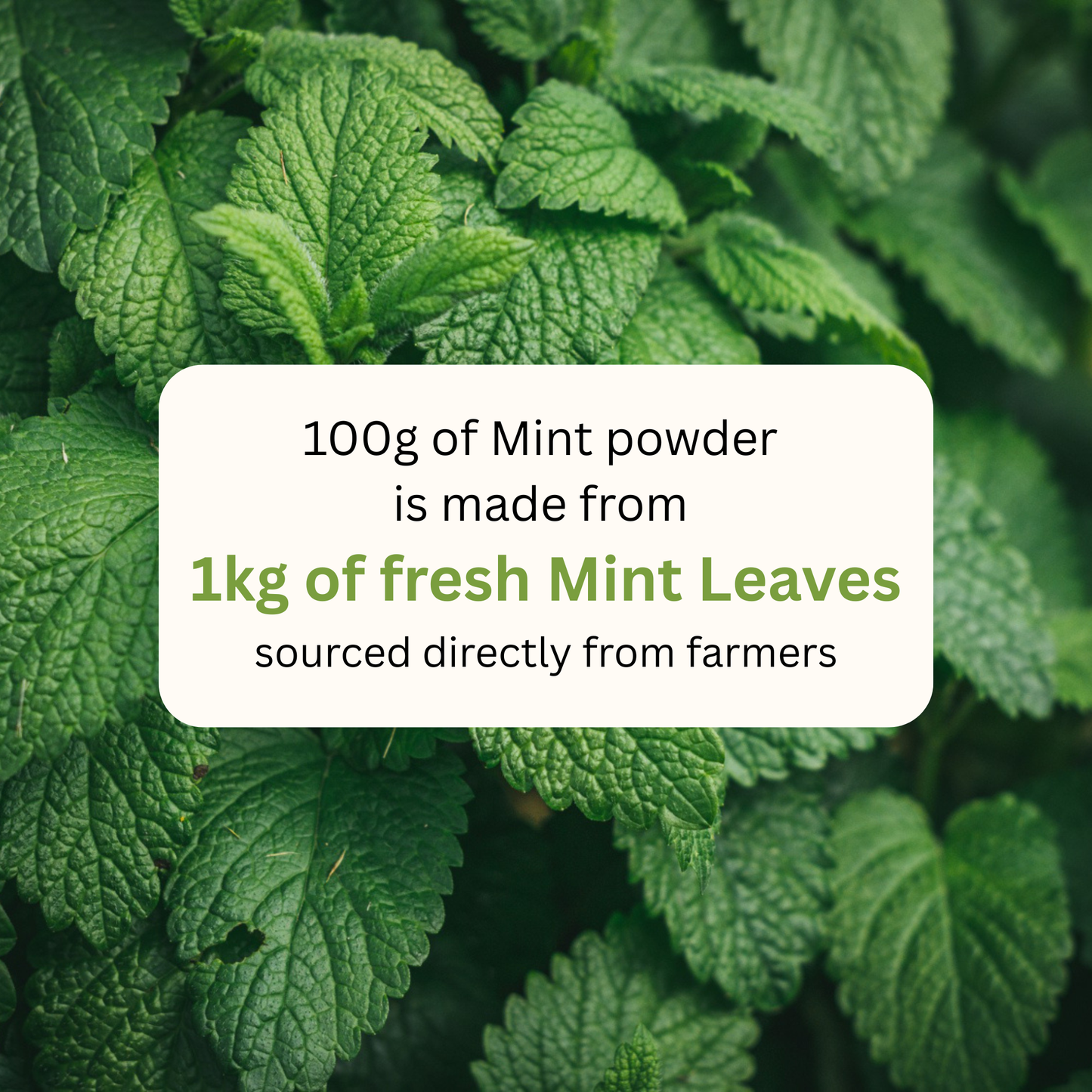 koh! Mint Powder | 100g