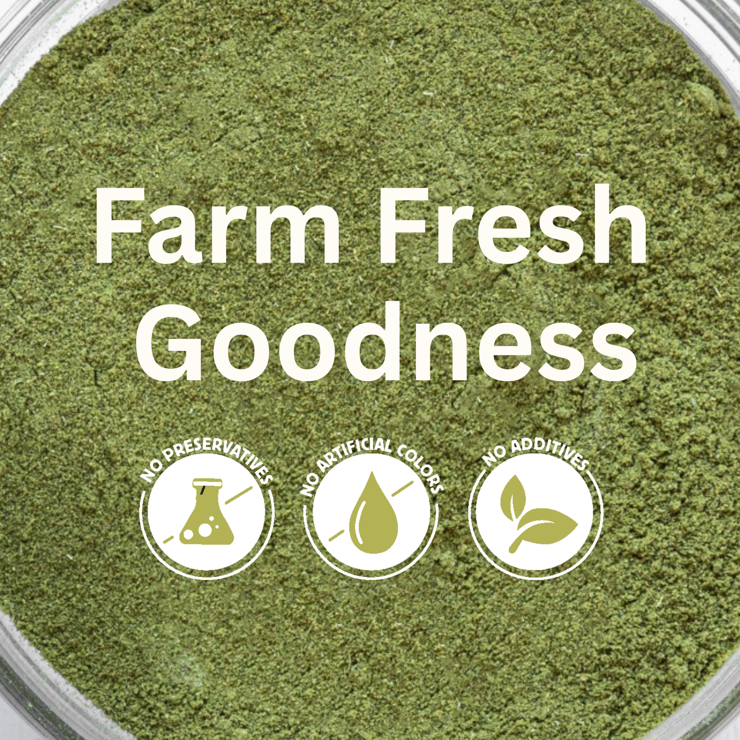 koh! Curry Leaf Powder | 100g