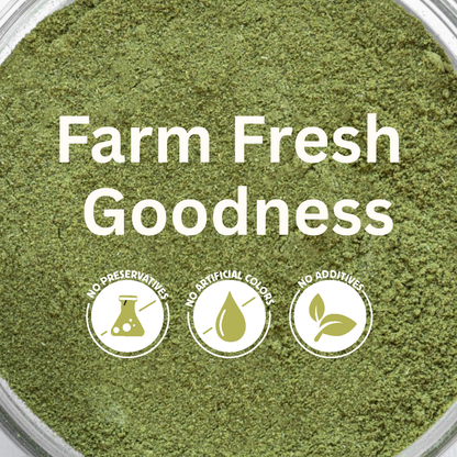 koh! Curry Leaf Powder | 100g