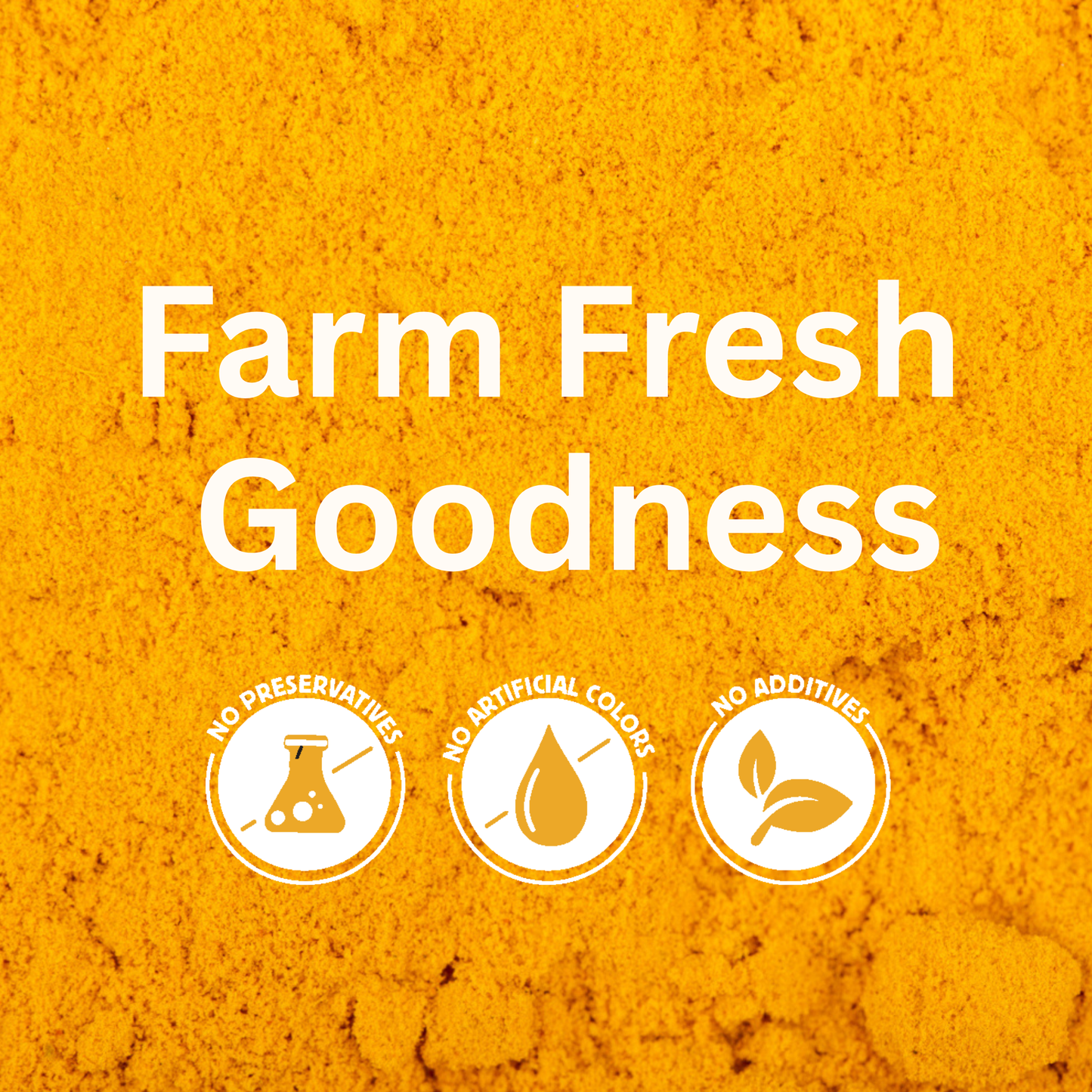 koh! Turmeric Powder | 100g