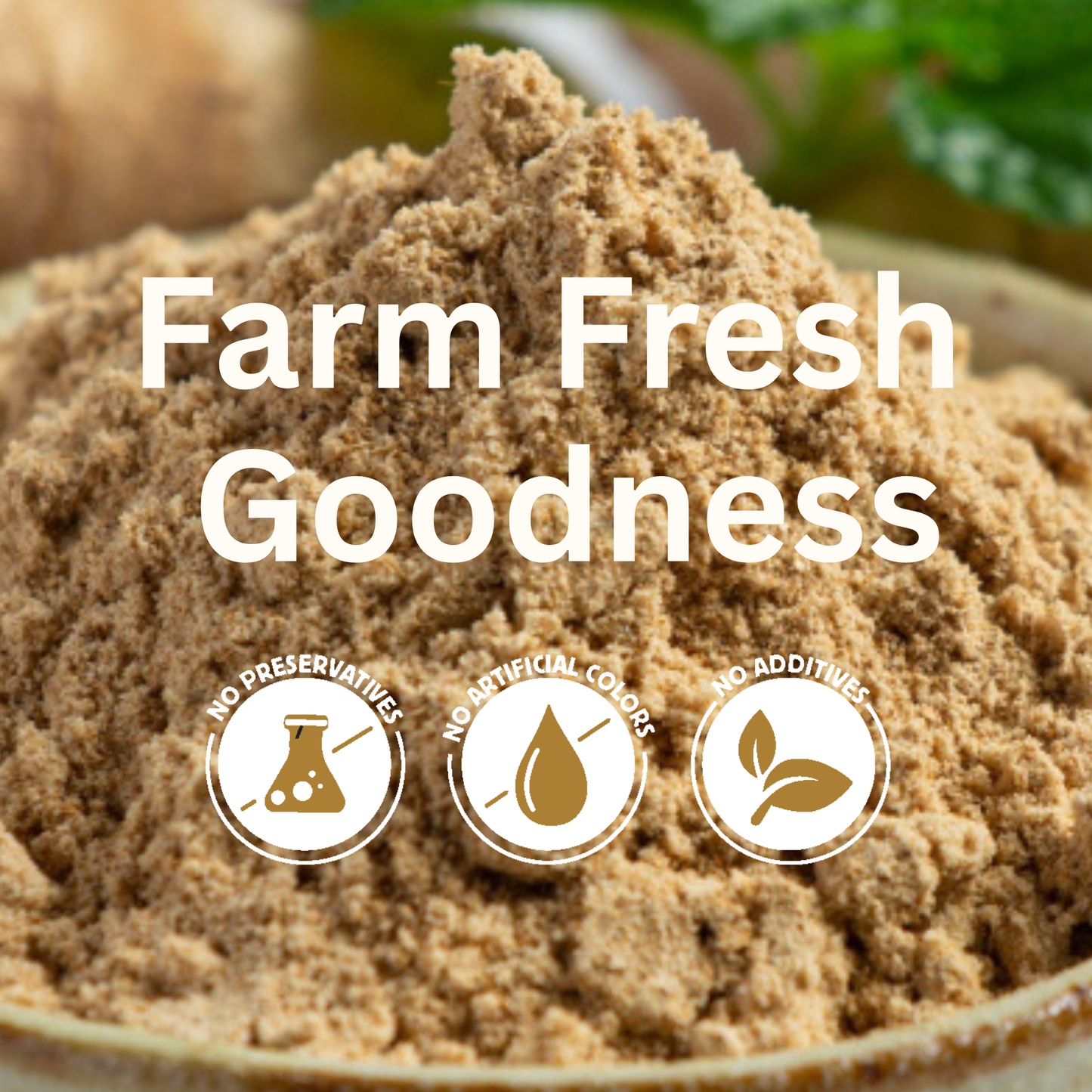 koh! Ginger Powder | 100g