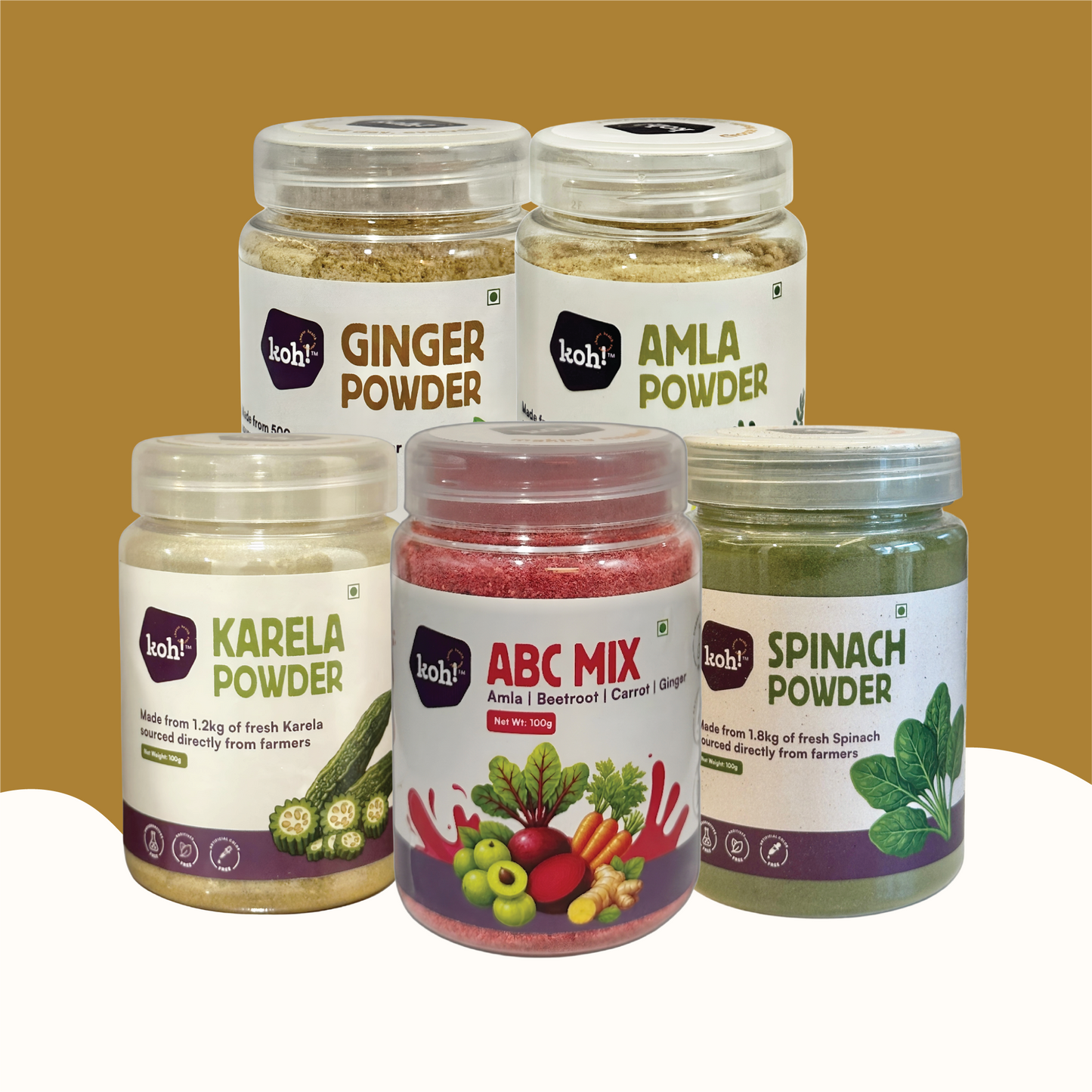 Daily Wellness Shots Kit — ABC Mix, Spinach, Amla, Ginger & Karela Powders | 100g x 5